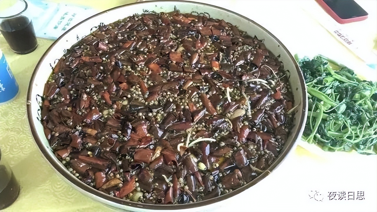 属兔的人和兔子有什么关系,兔年说兔的阅读理解