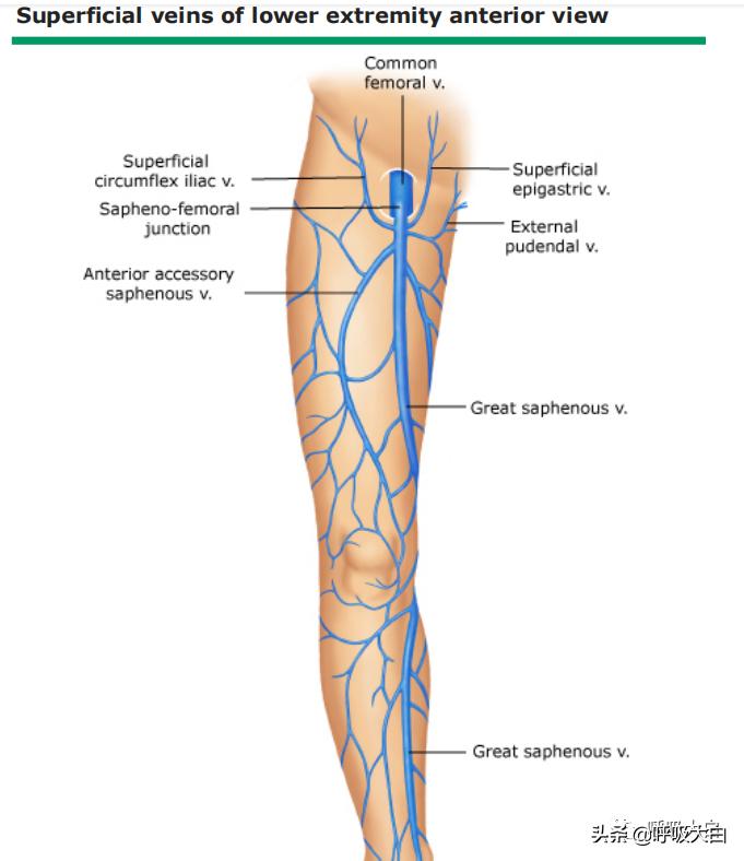 深静脉穿刺股静脉步骤,深静脉穿刺置管术视频教程