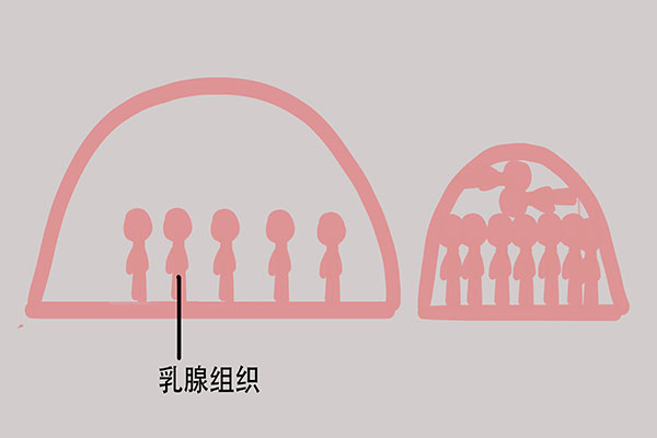 11岁男童乳房发育如女生，咋回事？提醒：4种食物容易引发性早熟