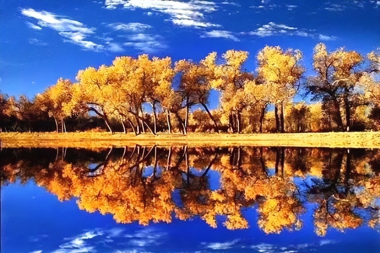 副业创业小项目收益分析报告,自媒体写文章怎么盈利的