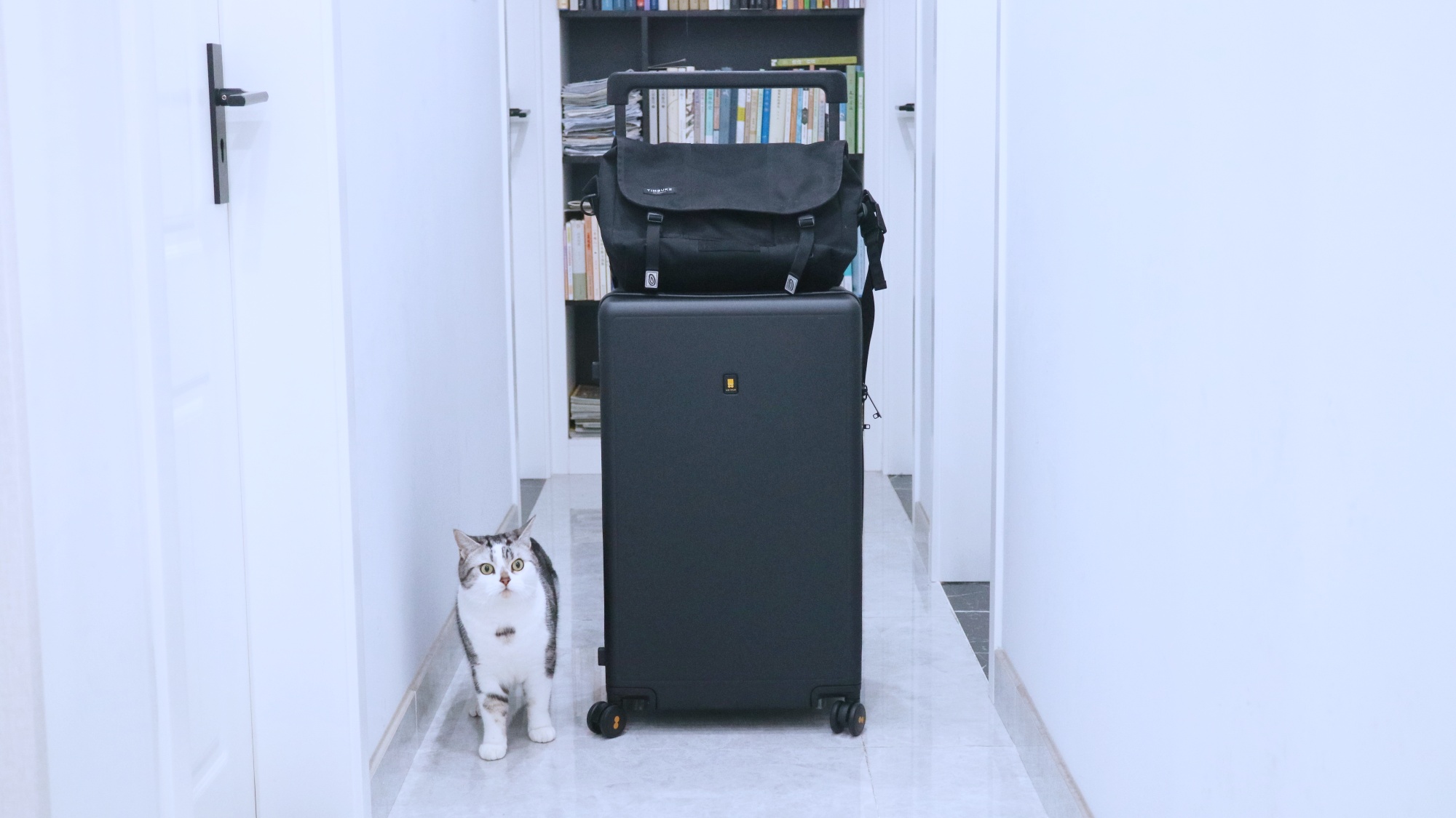 地平线8号行李箱和漫游旅行箱,地平线8号大旅行家系列行李箱