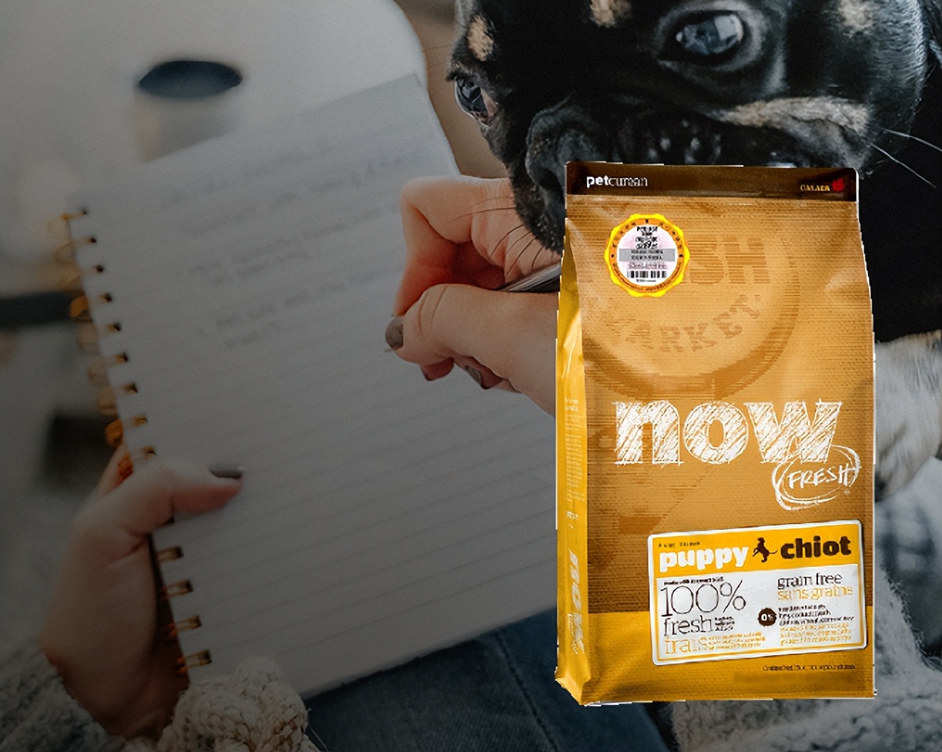 金毛幼犬狗粮排行榜,幼犬狗粮品牌前十排名