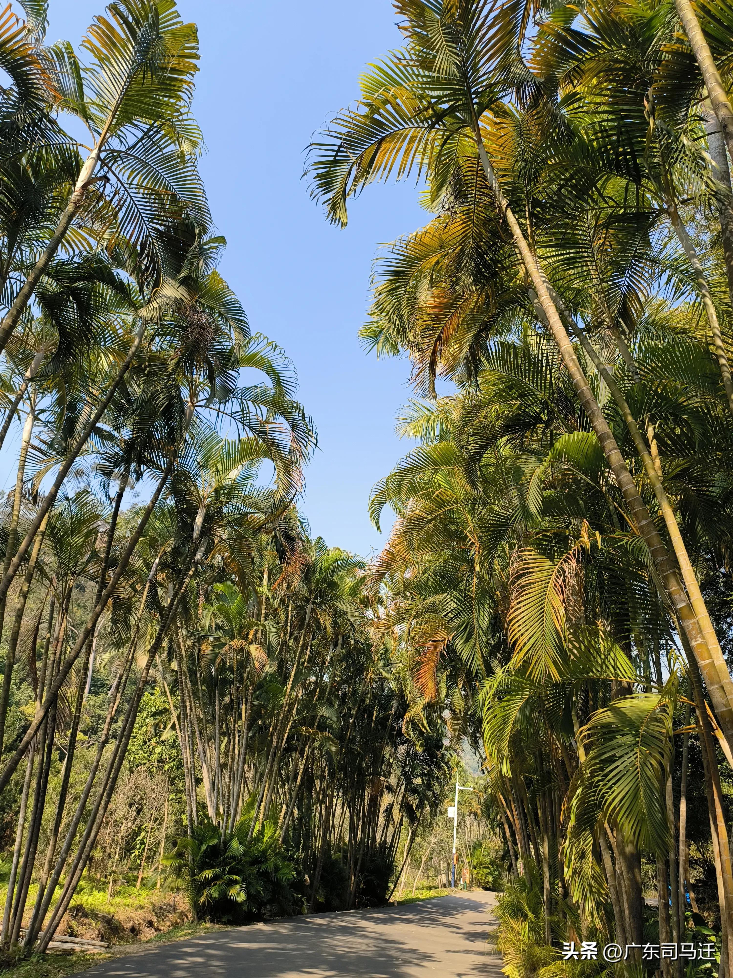 好玩的中山公园,中山公园这儿真美