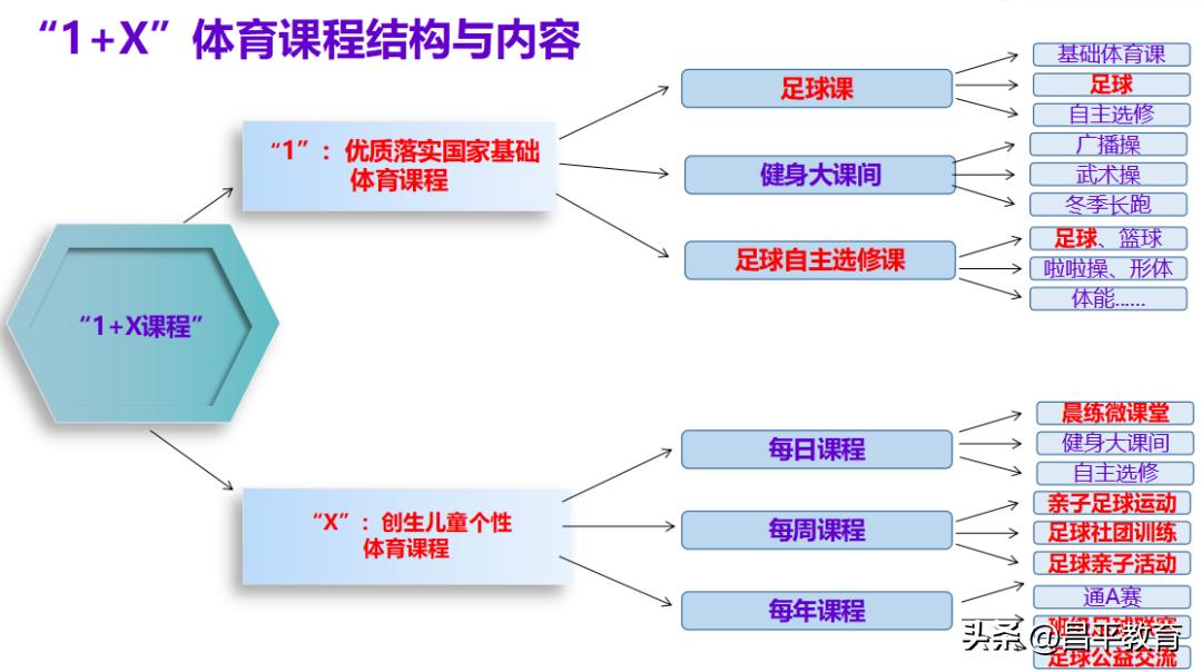 校园足球比赛世界杯,学校足球世界杯