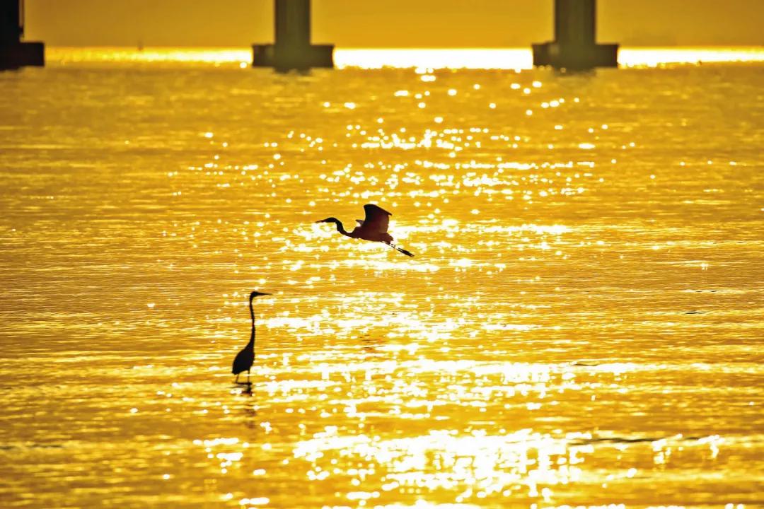 你好，我是宝安，这是我的新名片！