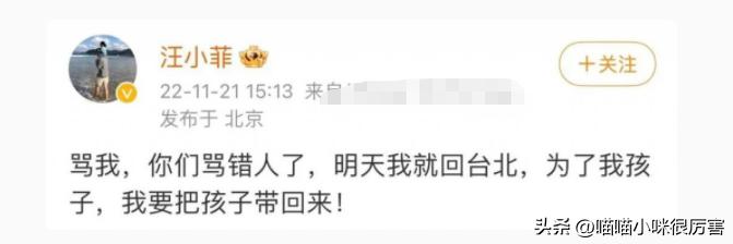 汪小菲迷惑行为视频,当年被霸道总裁迷得神魂颠倒