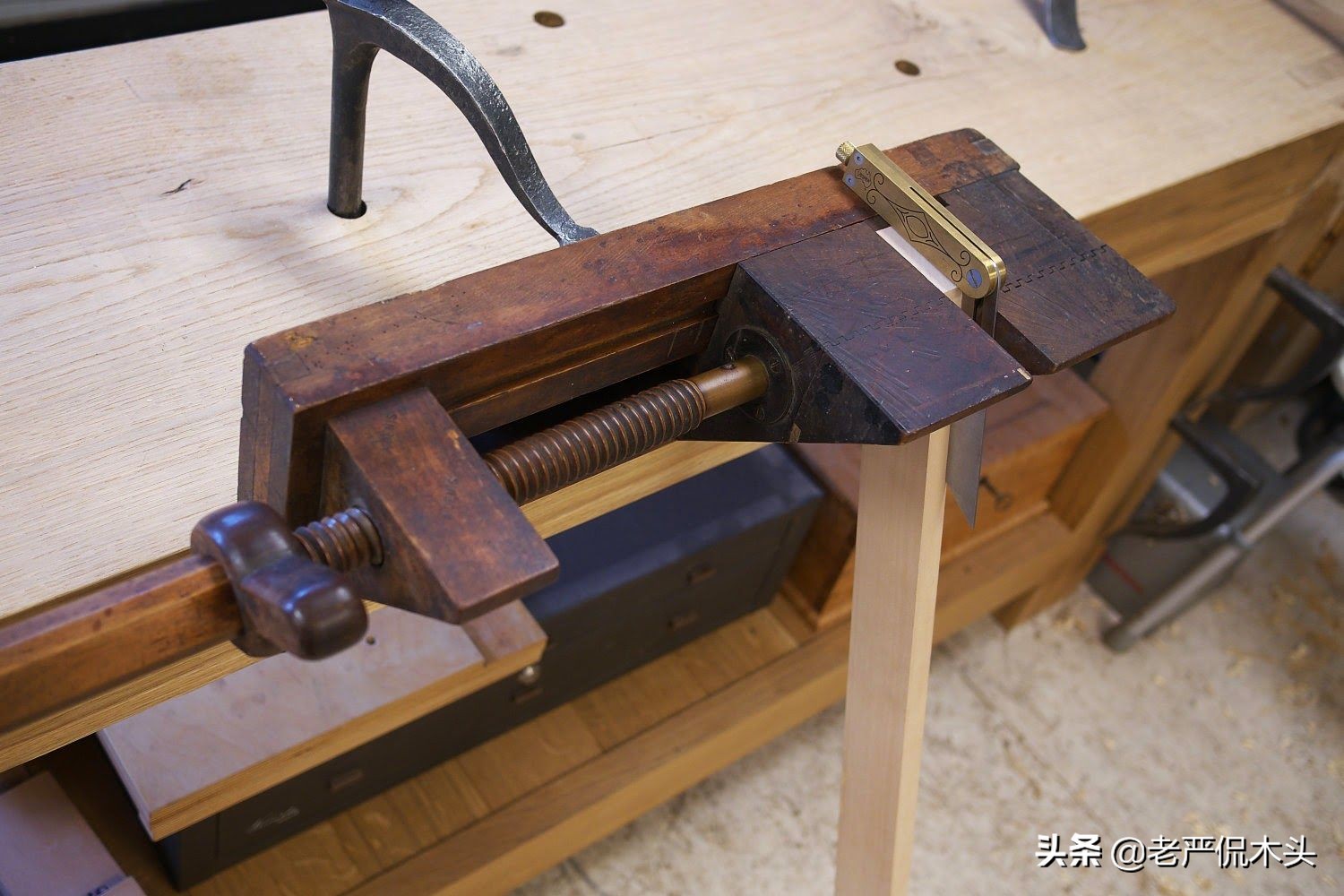 长文预警,长文预警朋友圈