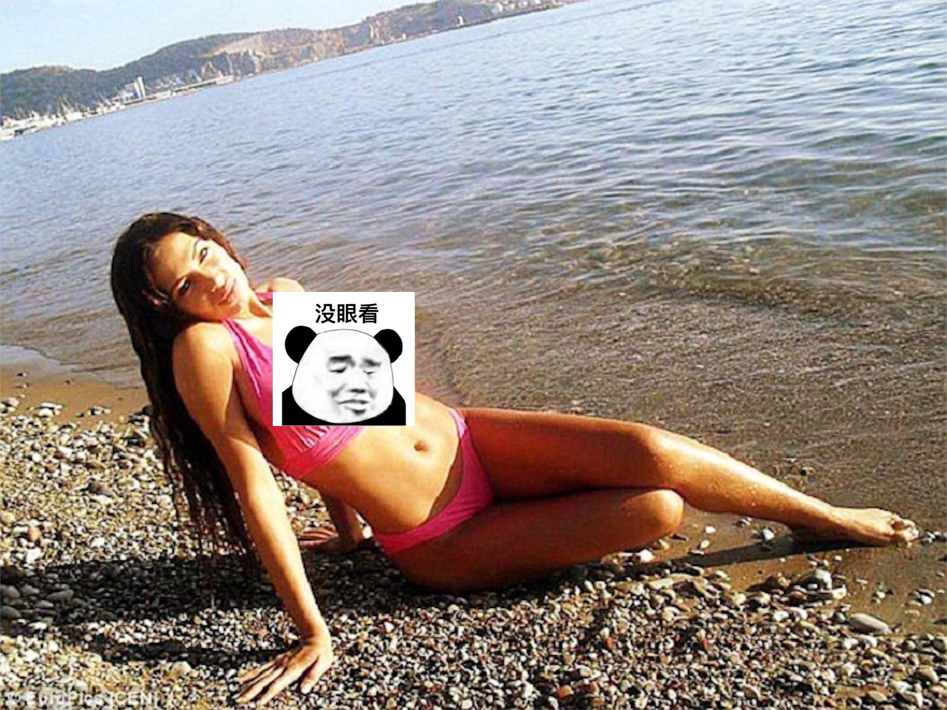 全是过客后续,全都是过客