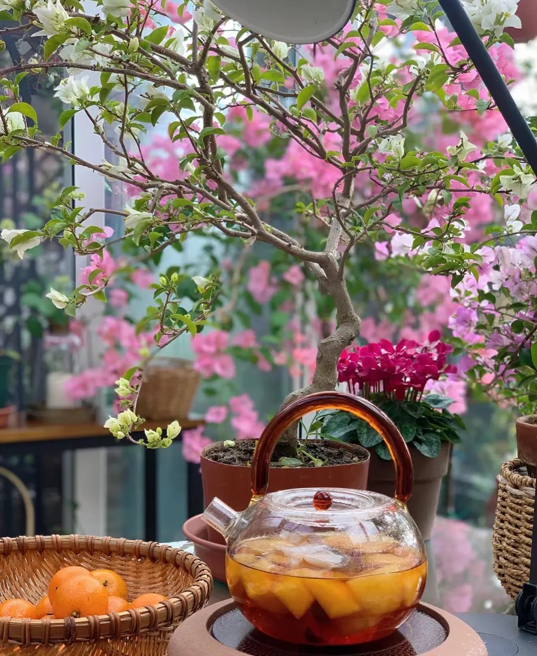 90后姑娘回家改造楼顶花园,5000元楼顶造花园