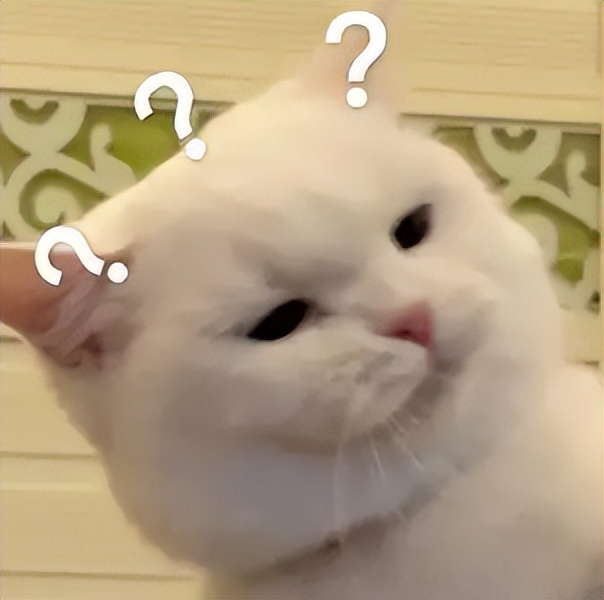 你以为你养的中华田园猫,家里养了中华田园猫