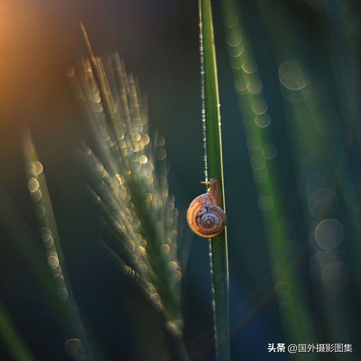 最美的景色秋天照片高清,夏天和秋天的绝美照片