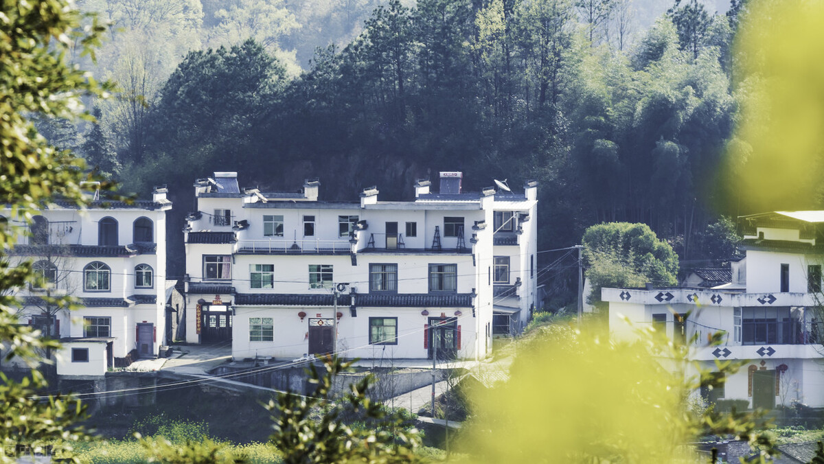 皖南赏花排名,安徽皖南春光好赏花正当时