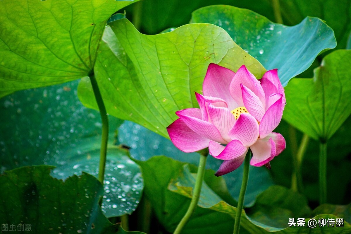 手机拍照怎么样才能拍出高级感,自行车人像拍照怎么拍出高级感