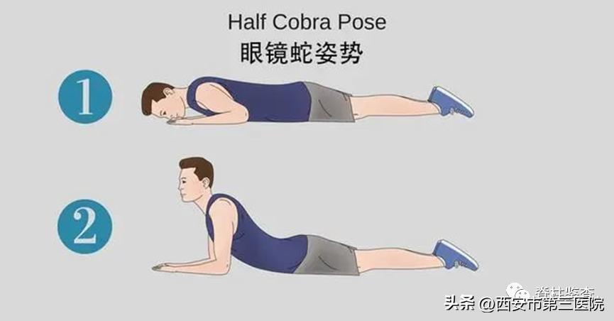 五分钟带你看懂腰椎间盘突出,腰椎间盘全面讲解及调理方法