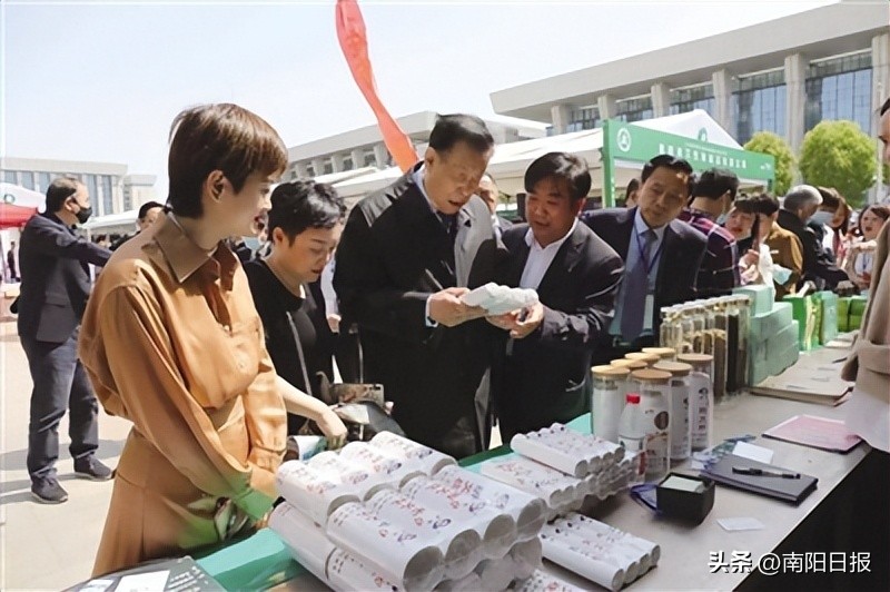 南阳绿莹艾草源头厂家,南阳绿莹艾草制品厂