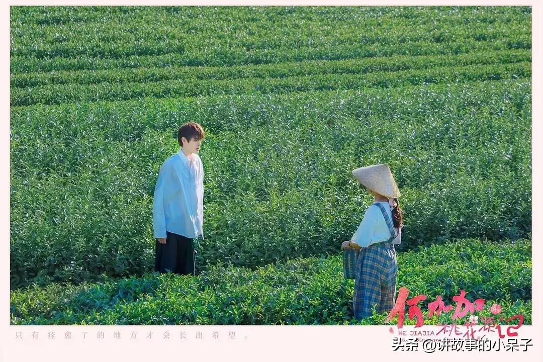 2022年11月电视剧推荐超甜爱情,2018十部良心爱情国产剧