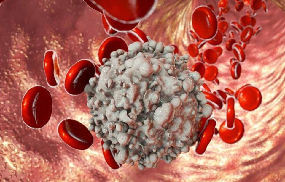 血常规炎性指标明显升高,新生儿血常规各项指标升高