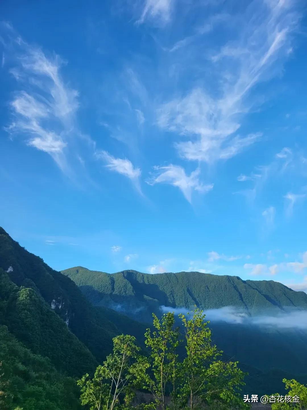 巴厘岛收国际旅游税,巴厘岛旅游退税多少