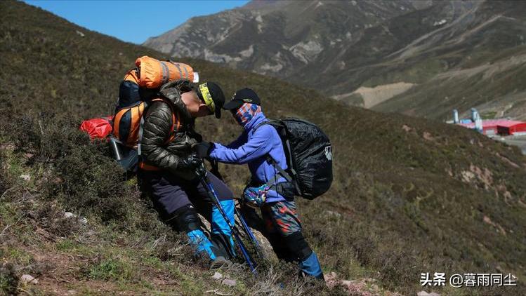 野外旅游怎么防蛇咬伤别人,野外防被蛇咬带什么药可保命