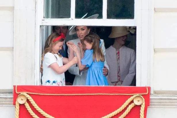 安妮的孙辈,安妮的孙女