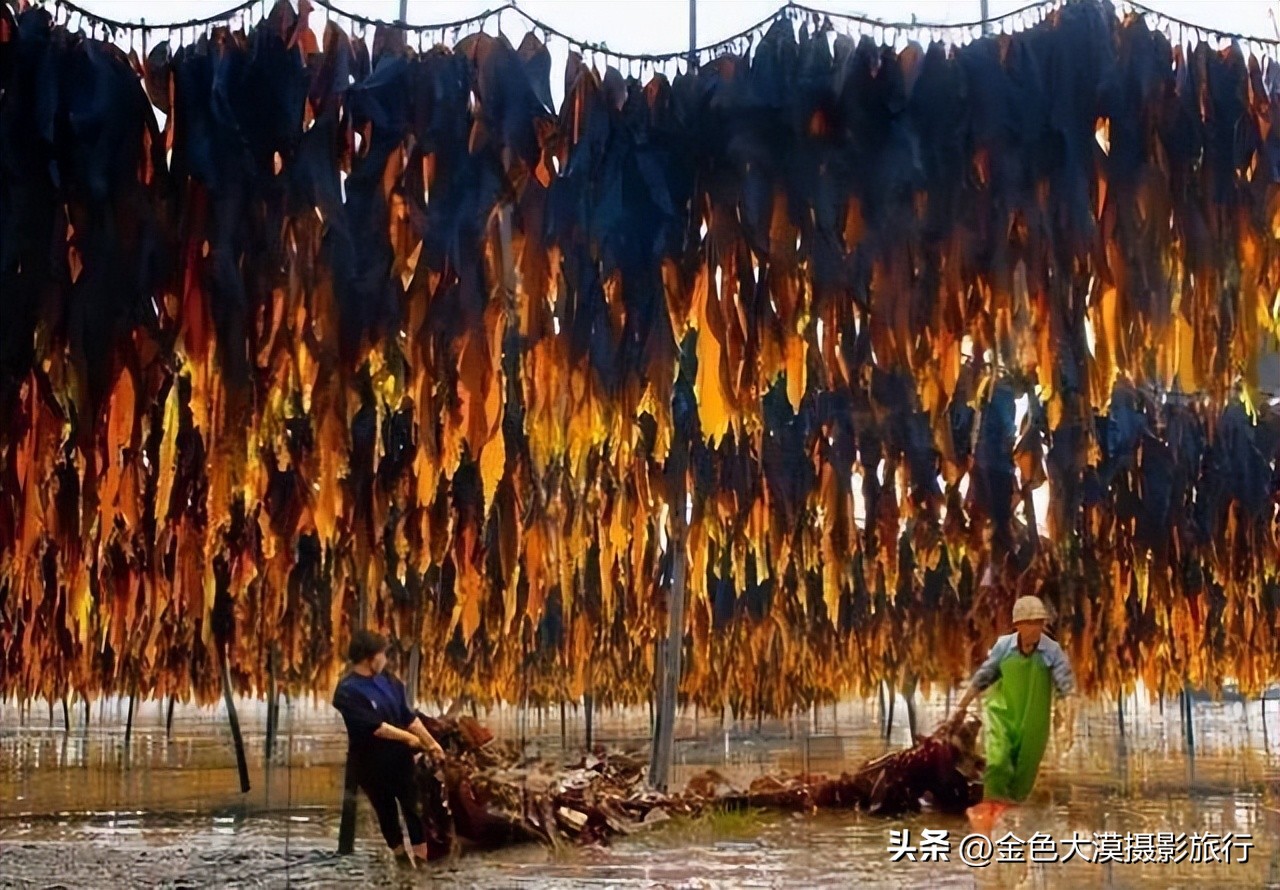 霞浦摄影风光,霞浦滩涂水墨摄影