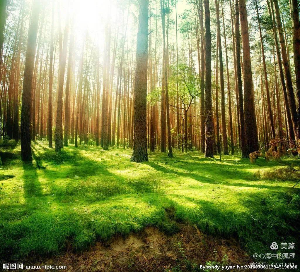 《零星集》（微型诗）〈上〉汪凯著