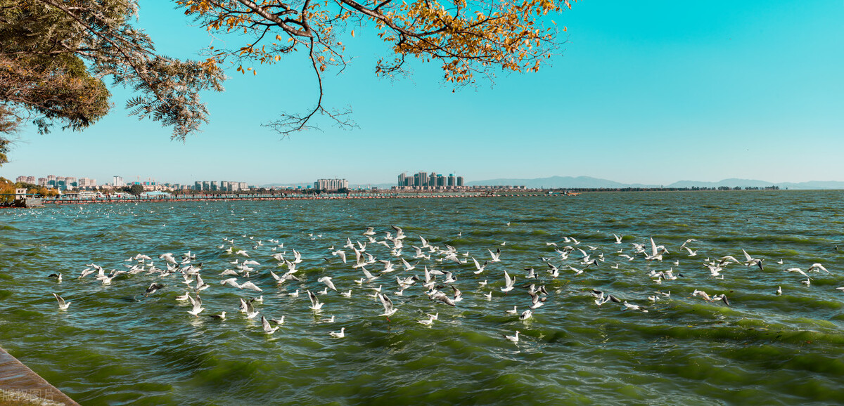 昆明网红打卡地好玩的地方推荐,昆明花仙子网红打卡景点