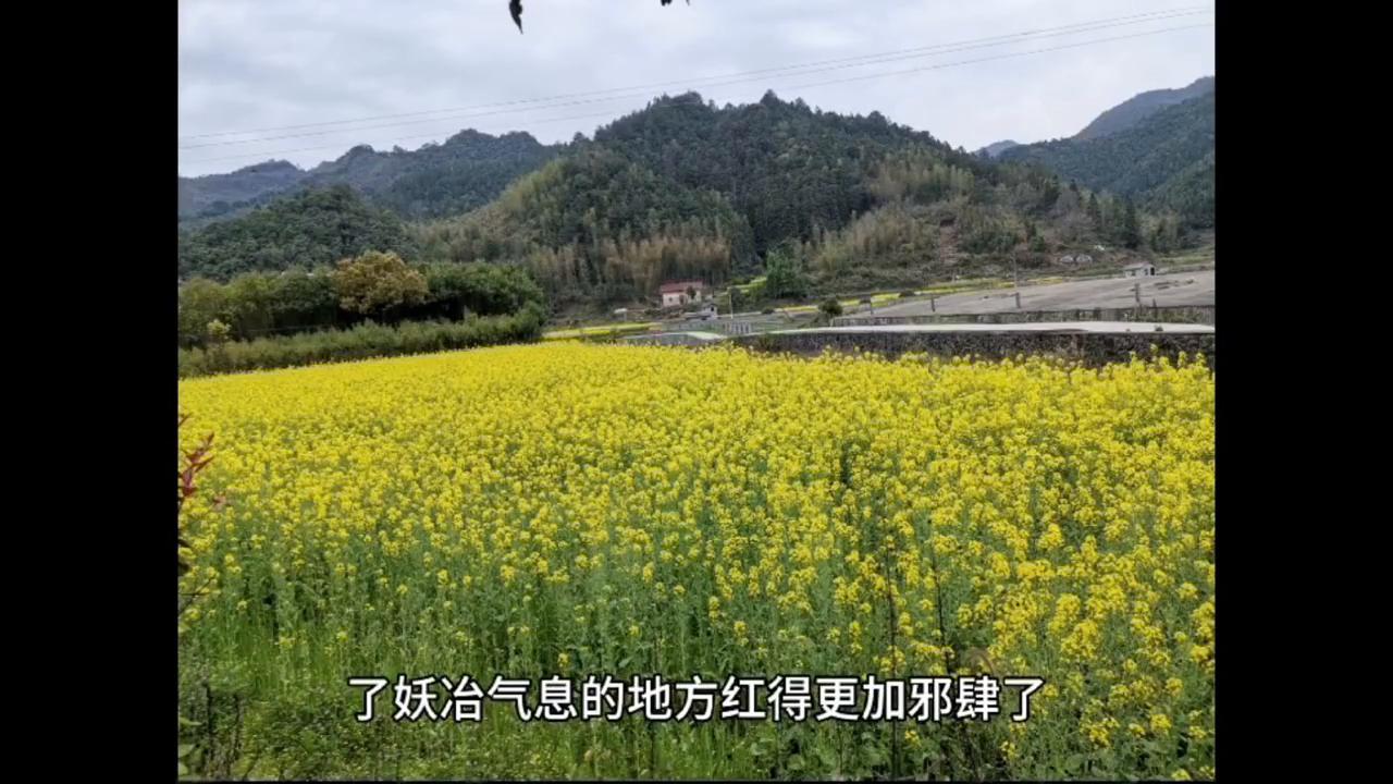 随手一拍都是美景横屏观看,随手一拍都是美景蓝天白云