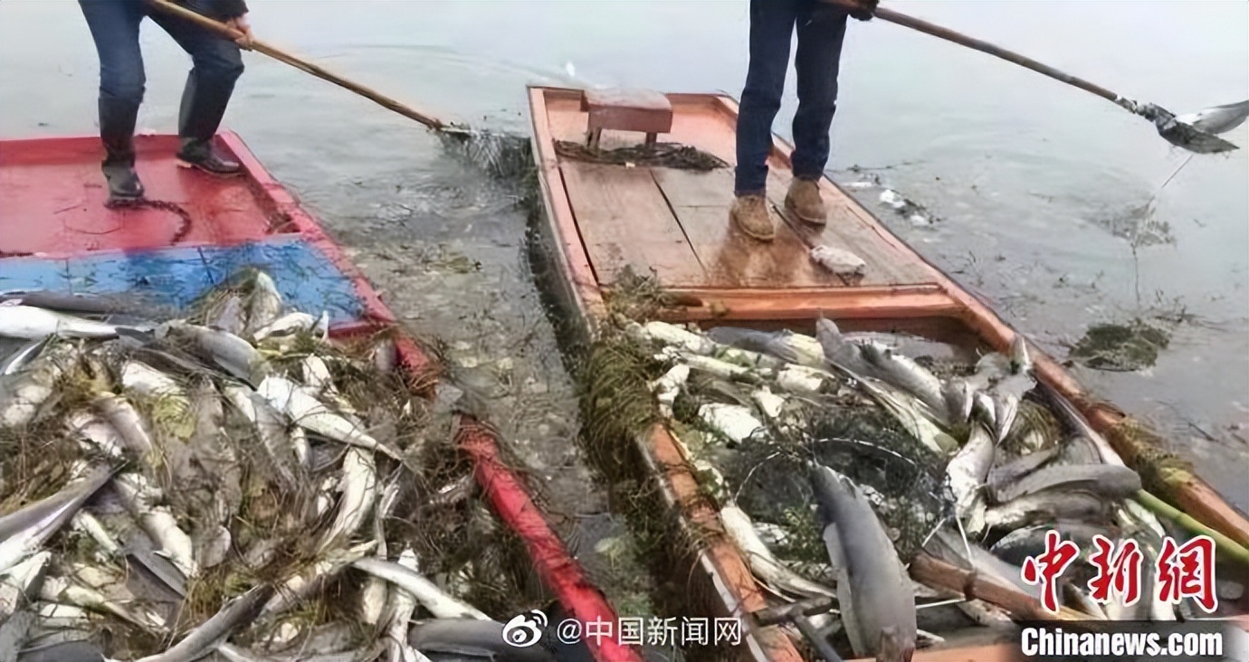 法治新闻综合执法制服,海警维权执法服官宣