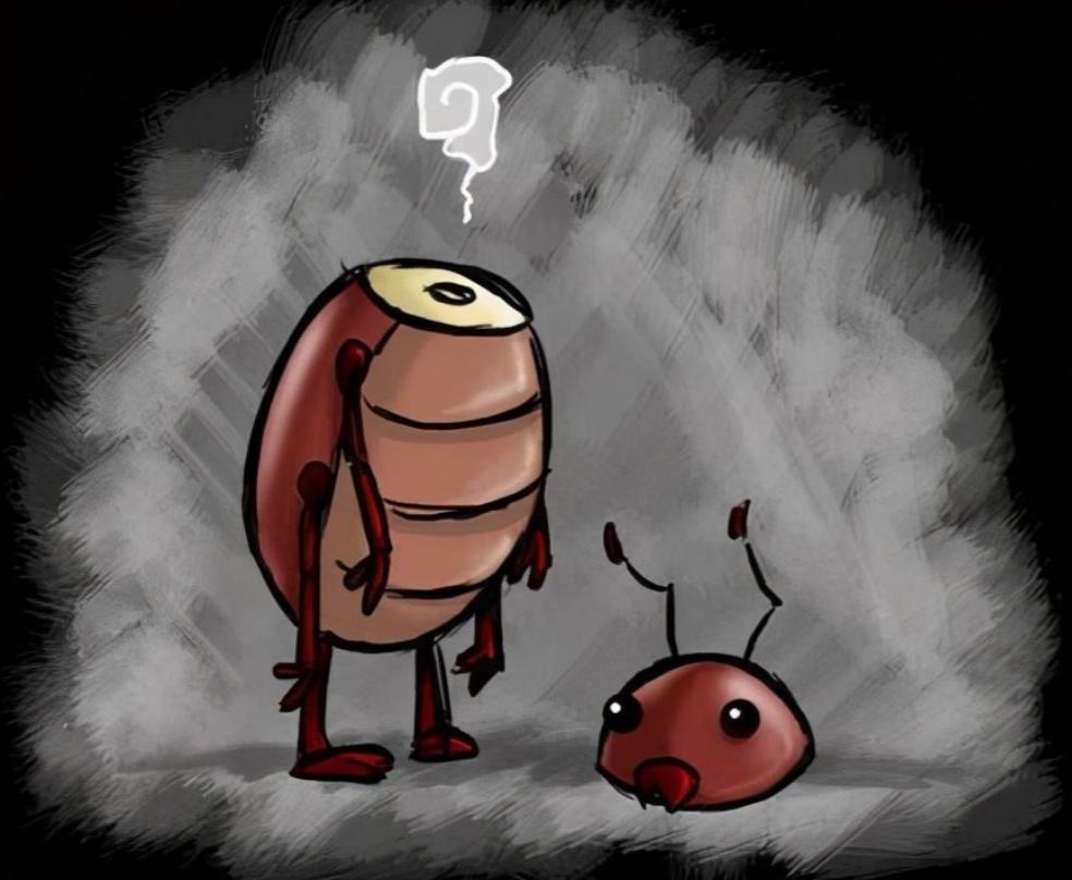 男子发现隔壁女租客房门口爬满蟑螂，开门一看吓懵：密密麻麻一屋