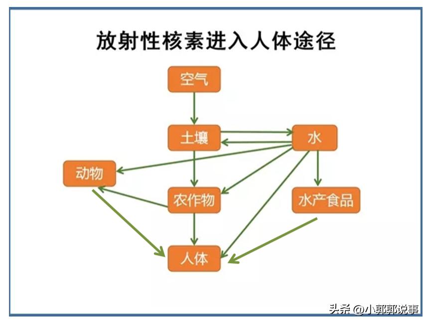 太仓购买日本核辐射食品,江苏太仓查出辐射海产品
