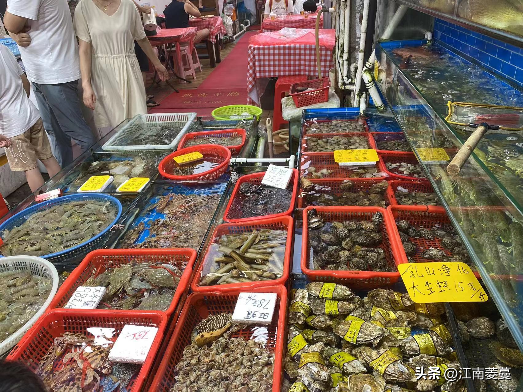 浙江海岛和厦门哪里值得去,为什么那么多人选择去厦门旅游