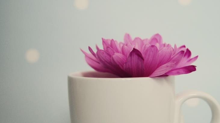 父母去世后，兄弟姐妹最好的相处方式，就是“三七定律”