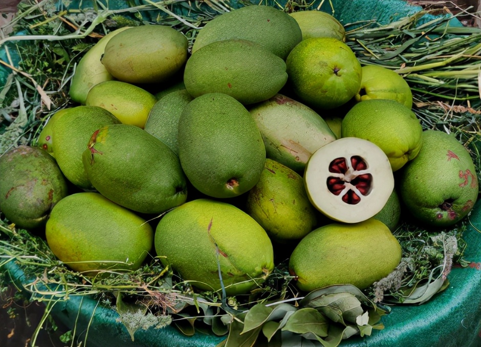 农村那些你吃过却叫不上名的野果,南方小时候路边的野果有哪些