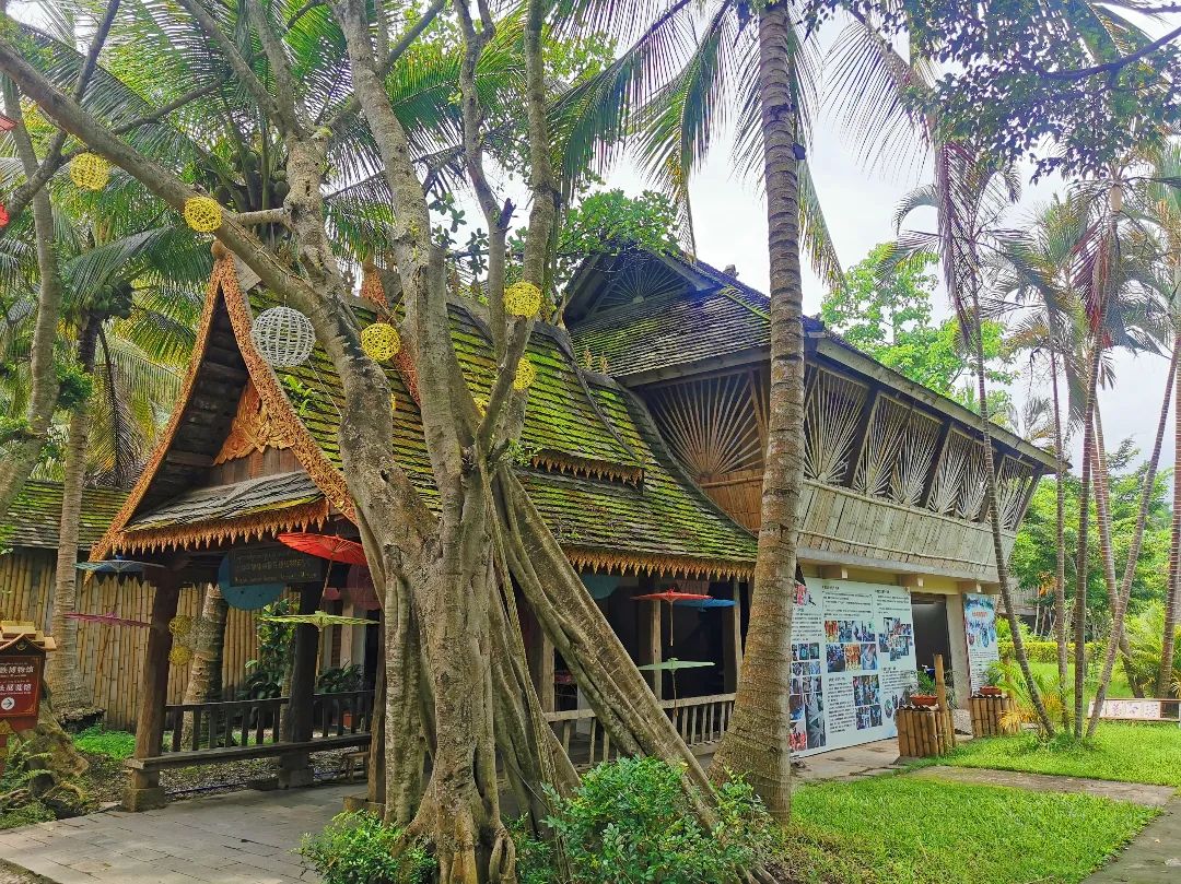 西双版纳七天六夜攻略,西双版纳五天六夜之旅完美结束