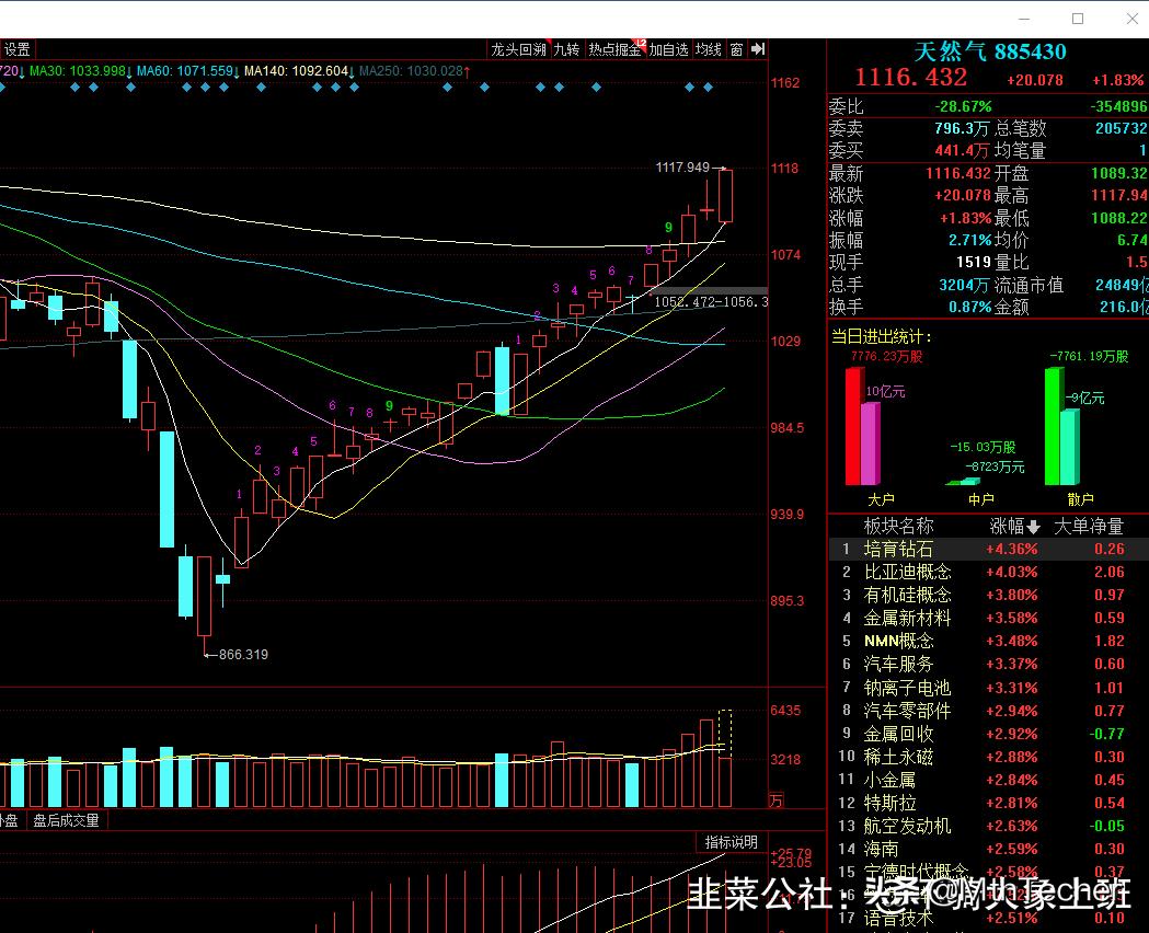 深圳燃气龙头股,深圳燃气属于光伏概念股吗