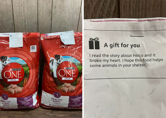 “同性恋”小狗被恐同主人遗弃，因祸得福，找到新的同性恋家庭