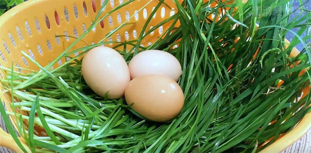 牛筋草加鸡蛋治什么病,牛筋草煮鸡蛋吃有什么好处和坏处