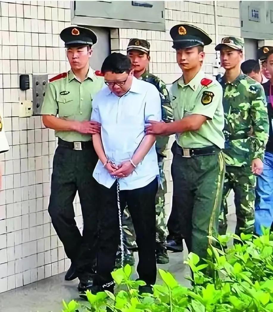 文强打黑风暴完整版,小说打黑局长