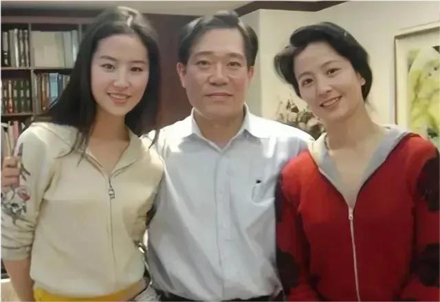 刘亦菲被霸凌事件后续,刘亦菲霸凌事件