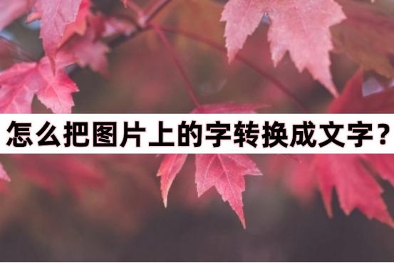 如何把图片上文字转换成文字,怎么把图片文字换成别的文字