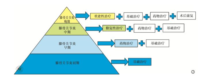 骨关节炎诊疗指南,骨关节炎诊断与诊疗指南
