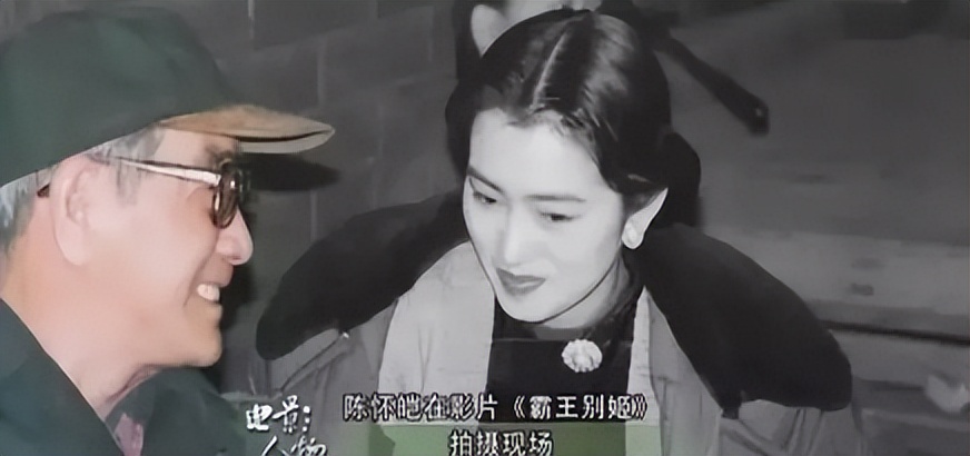 如何看待陈凯歌对柳岩发怒,陈凯歌怒斥柳岩