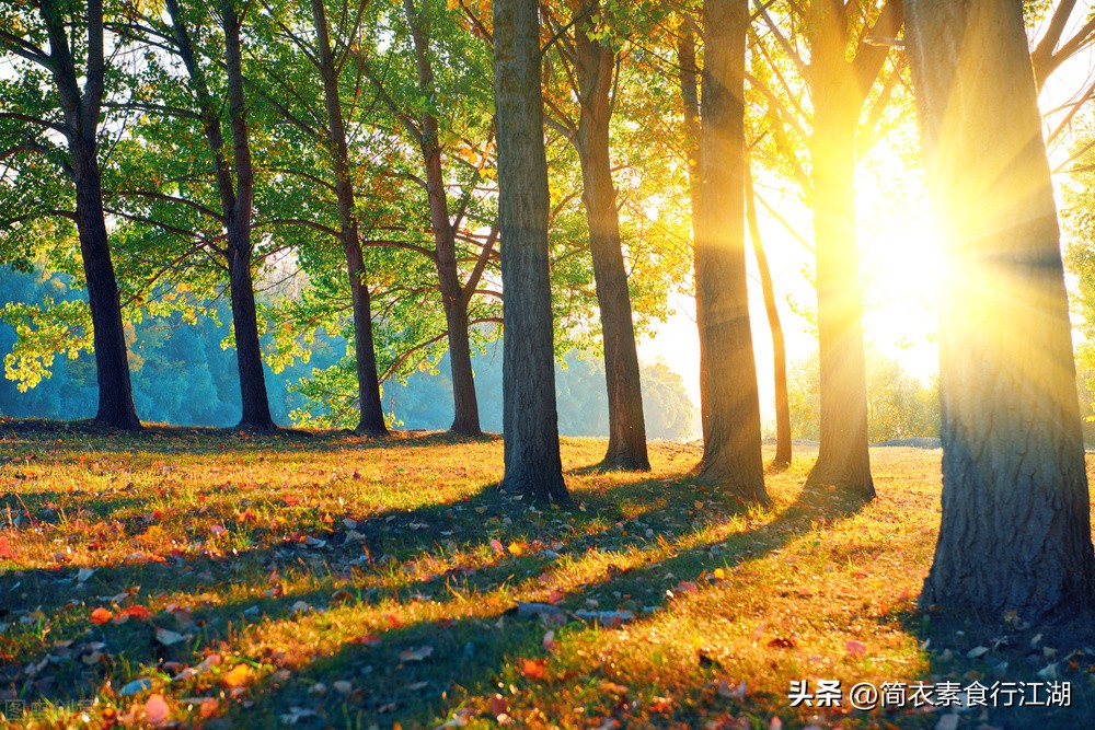 她做保姆这些年豪门生活246,她做保姆这些年豪门生活16