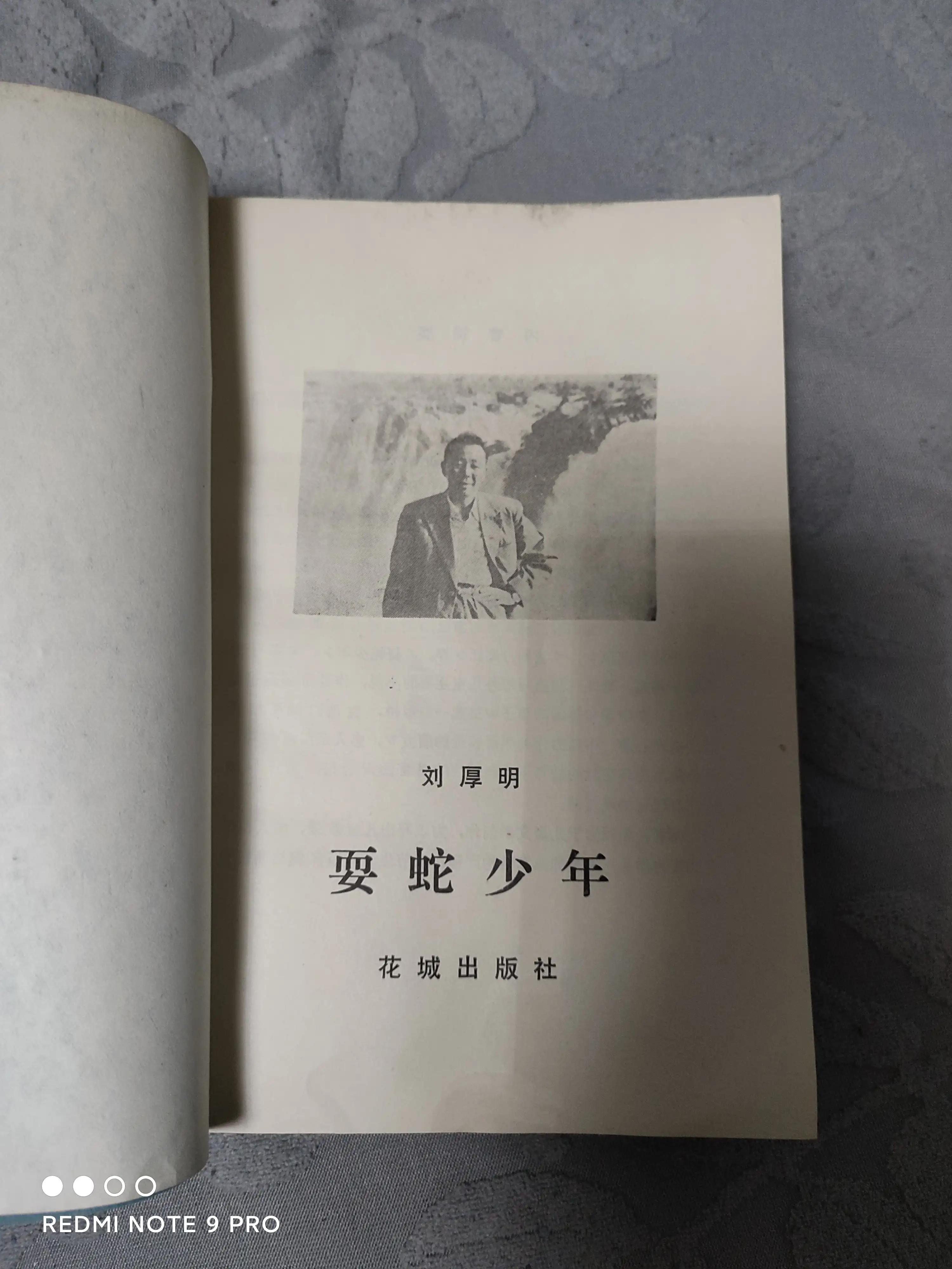 刘厚民儿童文学作品选,耍蛇少年