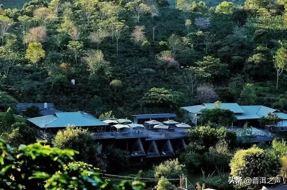 普洱咖啡主题电影《一点就到家》荣获华表奖优秀农村题材影片奖