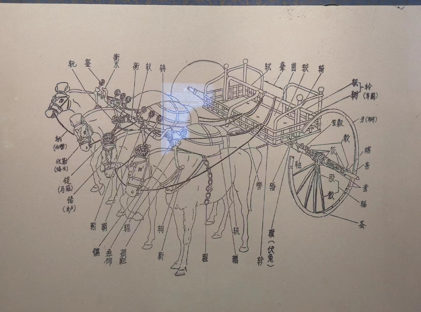 寻味山东淄博,淄博博物馆推荐
