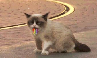 315大曝光图解,315令人发指的真实事件有哪些