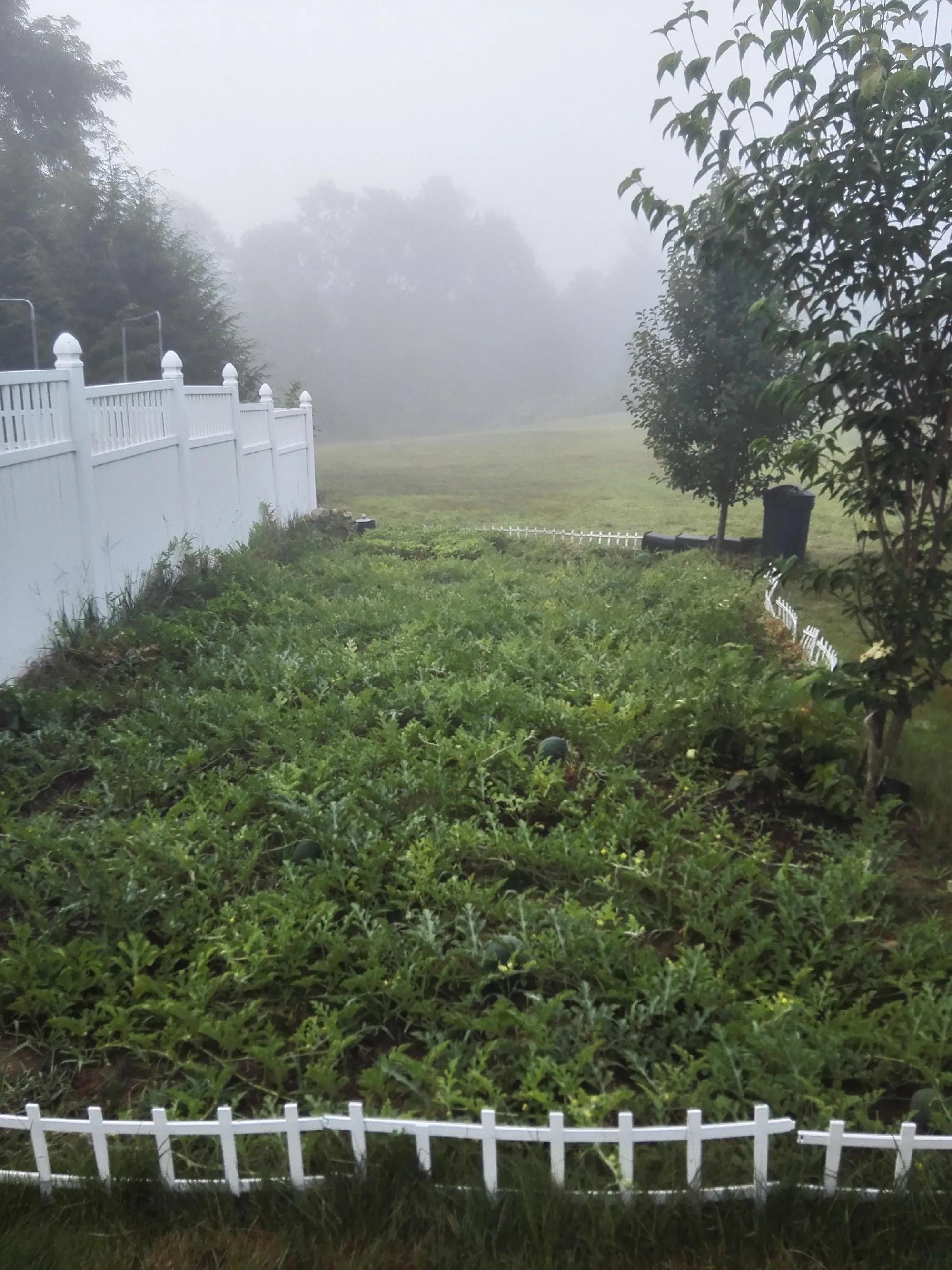 我在美国小镇做“隐士”