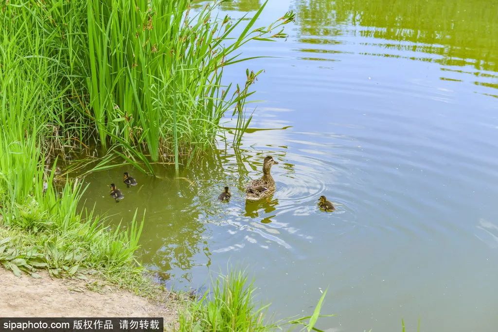 冬天颐和园昆明湖全景,观赏颐和园昆明湖